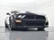 2022 Ford Mustang Shelby GT500