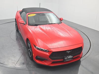 2024 Ford Mustang EcoBoost Premium