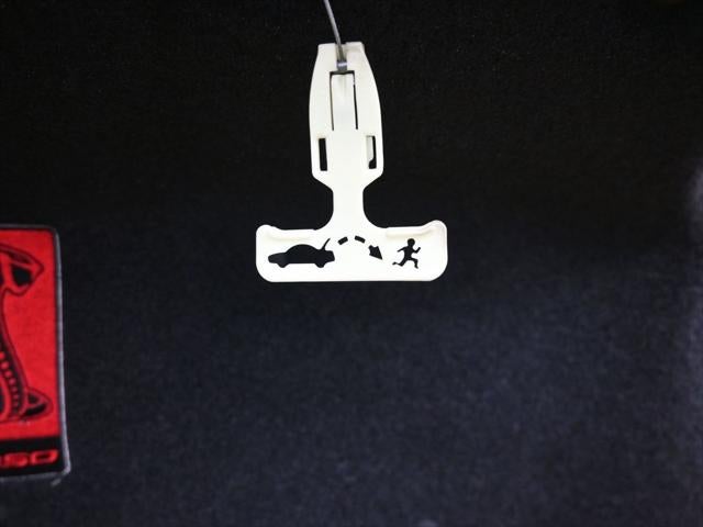 2017 Ford Mustang Shelby GT350 R