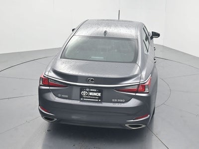 2019 Lexus ES 350