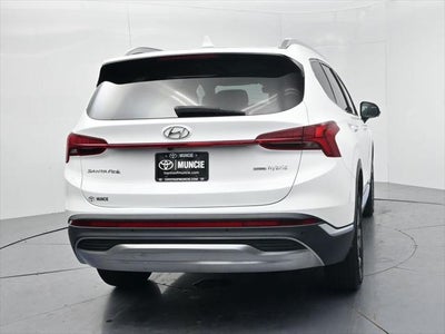 2023 Hyundai Santa Fe Hybrid SEL Premium
