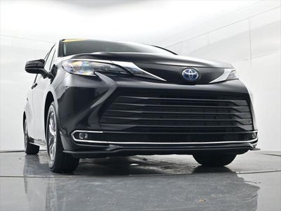 2024 Toyota Sienna XLE 8 Passenger