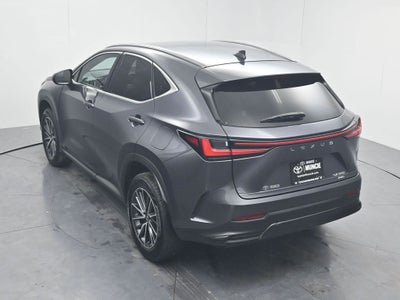 2022 Lexus NX 350 Premium