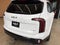2024 Kia Telluride SX-Prestige X-Pro