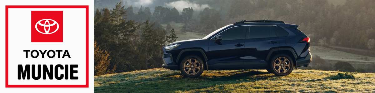 Car Dealership Muncie, Indiana