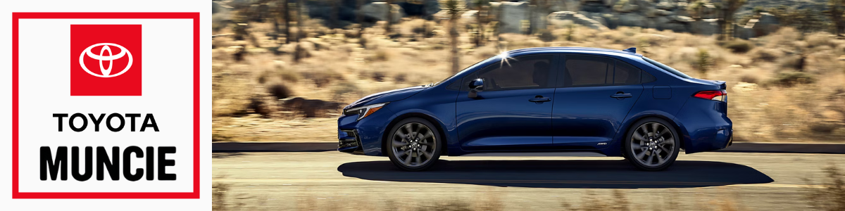 Used Car Dealers Muncie, Indiana